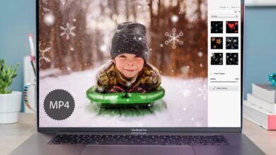 Adobe Photoshop Elements 2024 review: Still one of the best