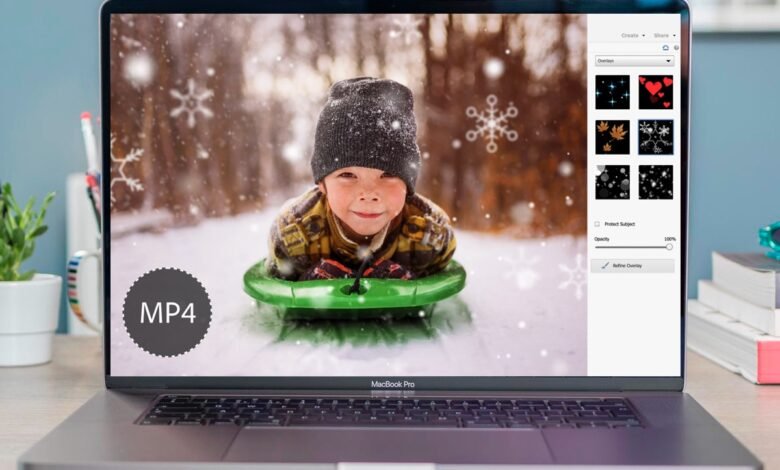 Adobe Photoshop Elements 2024 review: Still one of the best