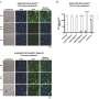 How the body’s immune response to bacterial infections could cause detrimental inflammation