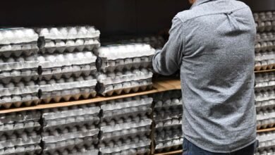 Cal-Maine sells more eggs than ever, and the stock rallies