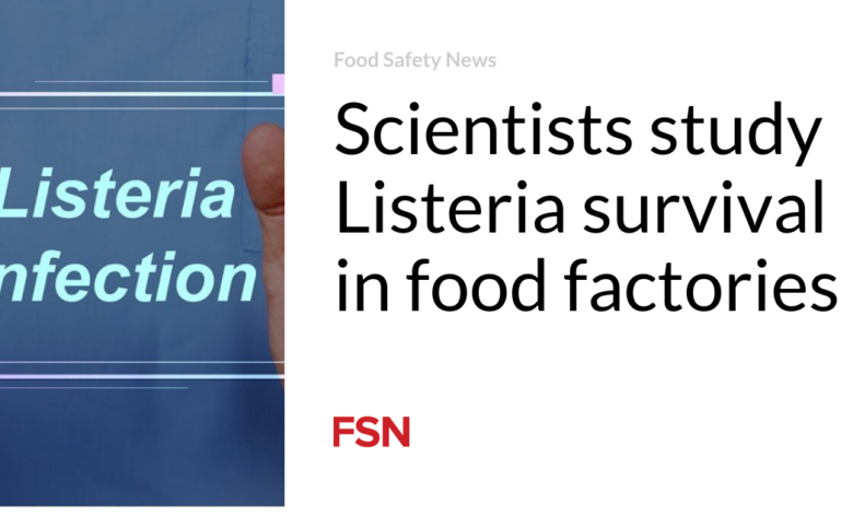 Scientists study Listeria survival in food factories