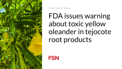 FDA issues warning about toxic yellow oleander in tejocote root products