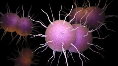 First-in-Class Antibiotic Effective Against Urogenital Gonorrhea