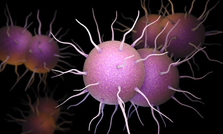 First-in-Class Antibiotic Effective Against Urogenital Gonorrhea