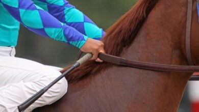 Watch Kentucky Oaks 2024 live stream: Can you watch for free?