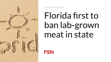 Florida first to ban lab-grown meat in state