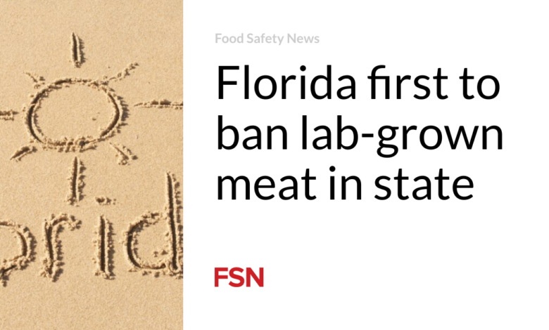 Florida first to ban lab-grown meat in state