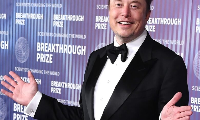 Elon Musk & Ex Grimes’ Son X Appears in Rare Photo on 4th Birthday