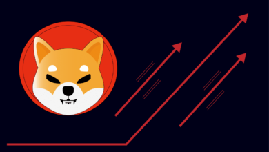 Shiba Inu Burn Rate Spikes – Is SHIB Gearing Up to Rally?