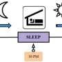 Dreaming is linked to improved memory consolidation and emotion regulation