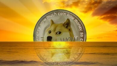 Japanese dog who inspired cryptocurrency DogeCoin dies at age 18