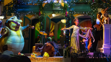 Tiana’s Bayou Adventure Gets a Full Ride POV Video From Disney Parks