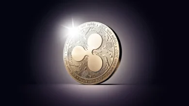 Ripple CEO Believes the Launch of XRP, Cardano, And Solana ETFs Are Inevitable
