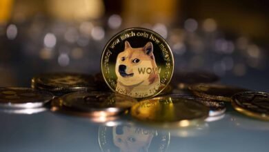 Dogecoin (DOGE) Whales Move 1.5 Billion DOGE Causing Volatility, What Next?