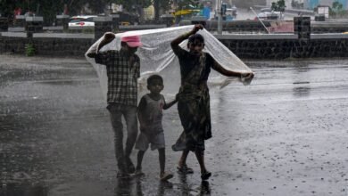 Monsoon update: India to get ‘below normal’ rainfall in June, says IMD