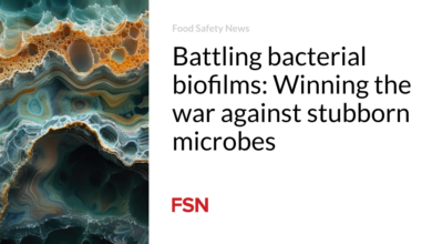 Battling bacterial biofilms: Winning the war against stubborn microbes