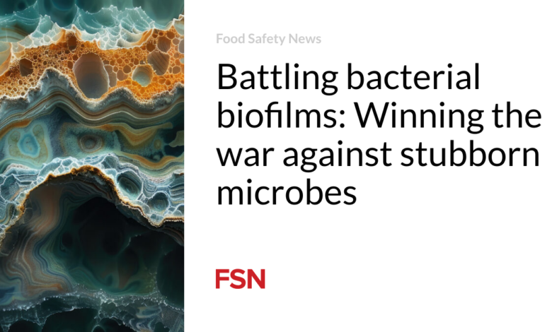 Battling bacterial biofilms: Winning the war against stubborn microbes