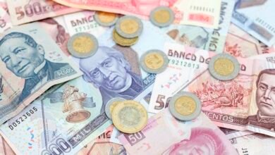 Mexican Peso rallies Friday, ends June with over 7% losses