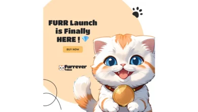 Bitcoin’s Plunge and Toncoin’s Calm: Why Furrever Token’s Bonus and Launch Could Be Your Best Bet