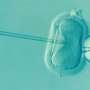 IVF and IUI treatment cycles increase across Europe, along with stable pregnancy rates