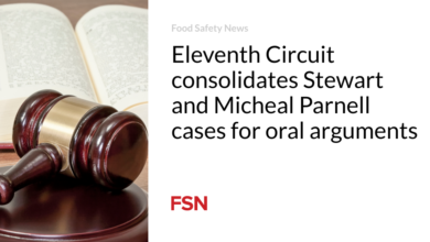 Eleventh Circuit consolidates Stewart and Micheal Parnell cases for oral arguments