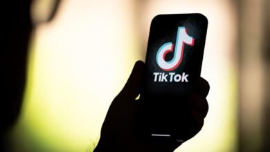 Ballerina Farm Controversy: What To Know About TikTok’s Hannah And David Neeleman