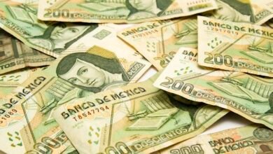 Mexican Peso plunges to two-week low as USD/MXN hovers around 18.50