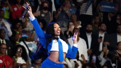 Megan Thee Stallion Addresses People “Fake Mad” Over Kamala Harris Rally Performance