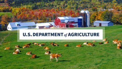 USDA Updates Farm Loan Programs to Increase Financial Freedom, Resilience and Profitability for Agricultural Producers