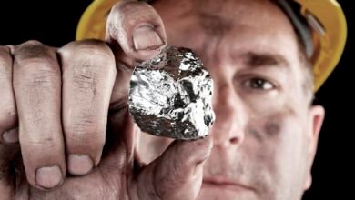 Palladium price recovers from slump, CFTC data in focus – Commerzbank