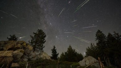 Catch the Perseid meteor shower at its peak late tonight into tomorrow