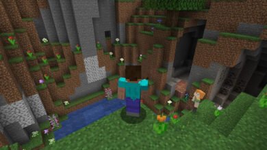 Diamond in the rough for gamers: Minecraft Bedrock AND Java Editions are just $24.99 together