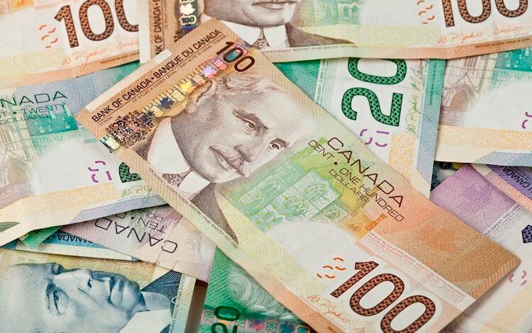 Canadian Dollar firms up against Greenback on Friday