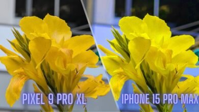 I blind-tested 7 iPhone stans on which takes better pics: Pixel 9 Pro XL vs. iPhone 15 Pro Max