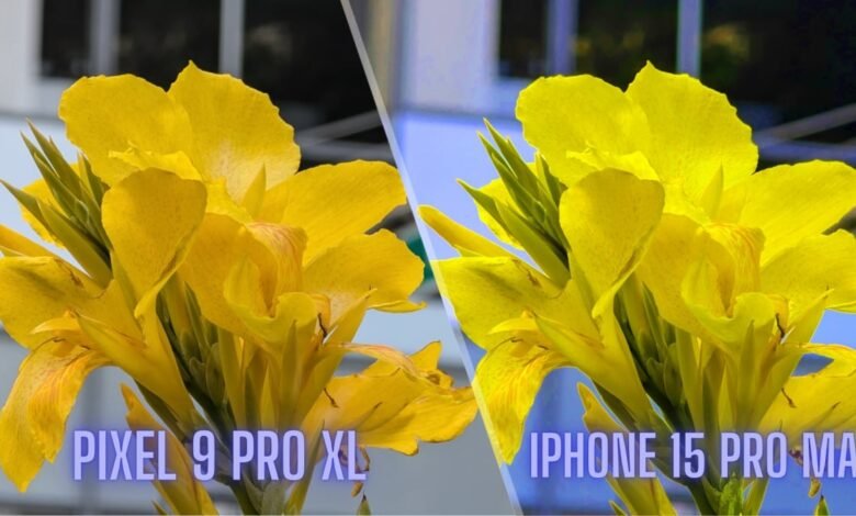 I blind-tested 7 iPhone stans on which takes better pics: Pixel 9 Pro XL vs. iPhone 15 Pro Max