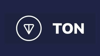 Toncoin (TON) Remains Steady Above $6.5 Amidst Market Volatility