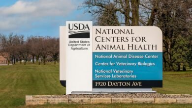 A Bird Flu Outbreak Is Spreading in U.S. Cows, Scientists Are Hunting for Answers