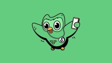 Duolingo wants to make its green owl mascot ‘as famous as Pikachu’ with its first pop-up store