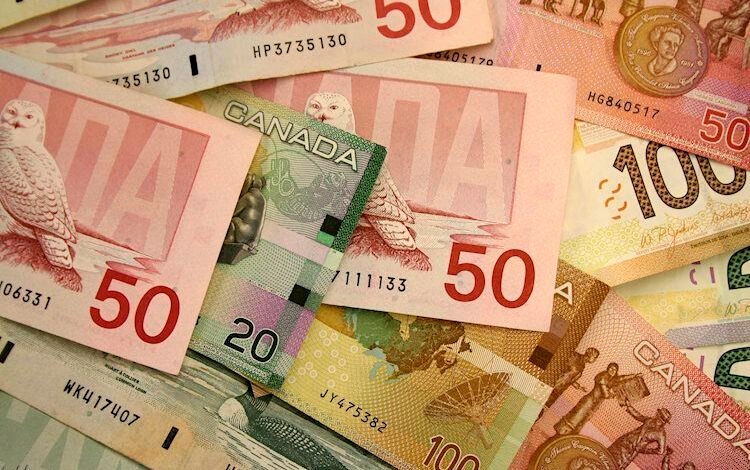 USD/CAD rises to near 1.3500 due to lower crude Oil prices