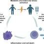 Researchers propose multimodal approach to tackle post-acute infectious syndromes, including long COVID