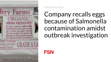 Company recalls eggs because of Salmonella contamination amidst outbreak investigation