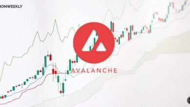 Avalanche Revenue Drops 46% in Q2: Market Cap Slips to 11th Position