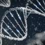 Ancestry-specific genetic variants linked to multiple sclerosis risk