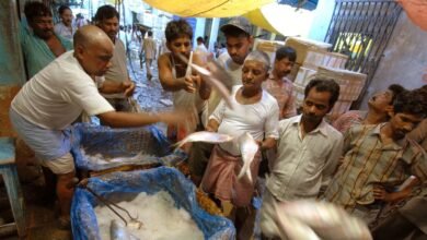 After brief ban, Bangladesh approves export of Hilsa fish to India ahead of Durga Puja