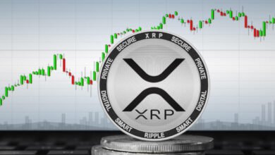 XRP Hits 18% Gain Amid Recent Whale Activities, 380M XRP Accumulated in 10 Days