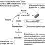 Unlocking the energy crisis in Parkinson’s: New findings on metabolic disruptions