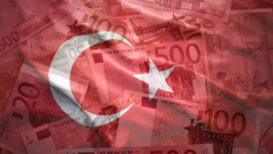 Türkiye: Tight Monetary Policy Drives Disinflation, Eases External Liquidity Pressures