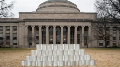 Glass houses? MIT pilots translucent bricks