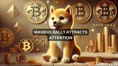 Baby Doge coin rallies 200% in 30 days, up 27% in 24 hours – What now?