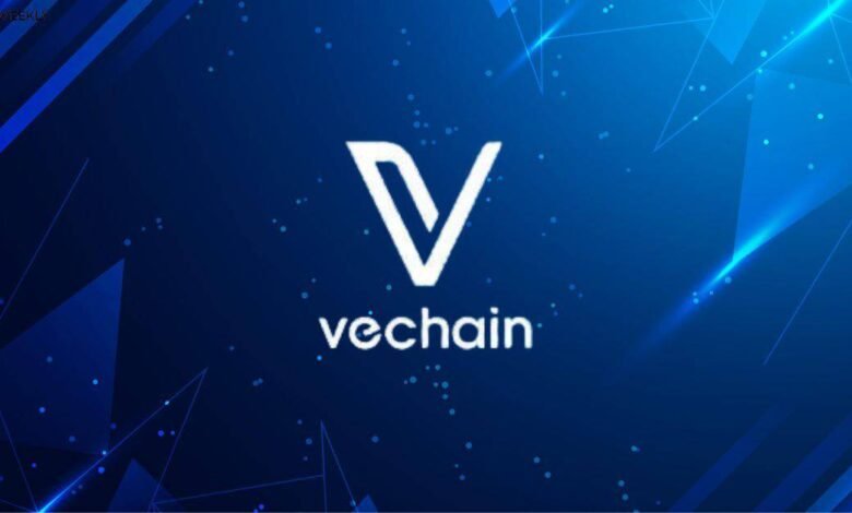 VeChain At 5-Year Low, Setting Stage For Potential Bull Market By 2025